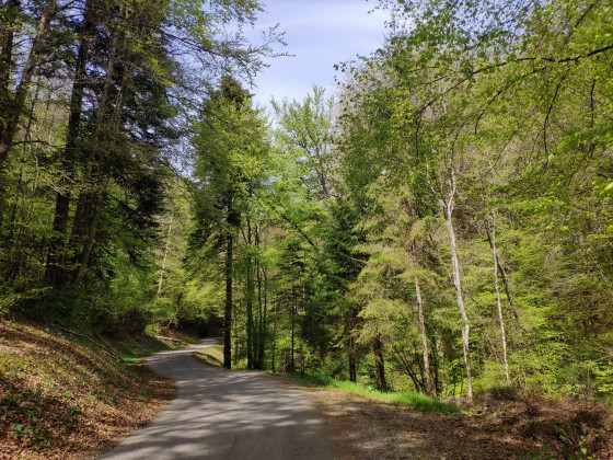 Chemin des Rodis