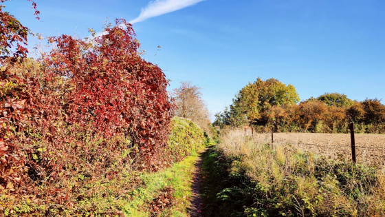 chemin des trinquettes