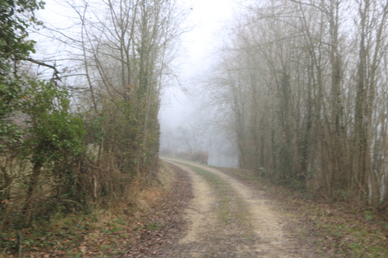 Chemin des Vignes