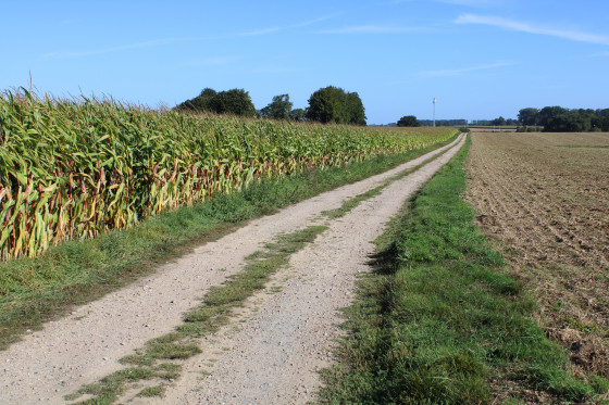 Le chemin du ch&acirc;teau