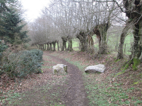 Chemin du gard