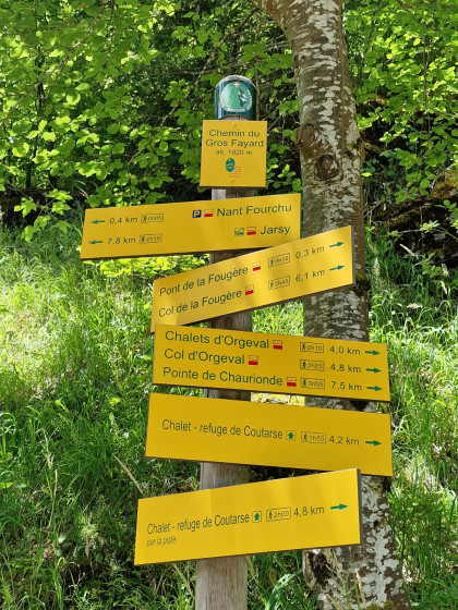 Chemin du Gros Fayard
