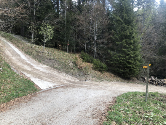 Chemin du Mology
