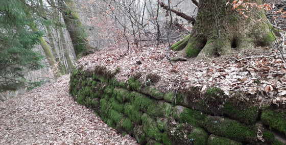Chemin du mur de Lambach