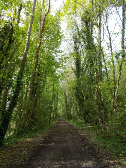 Chemin du Petit Caux
