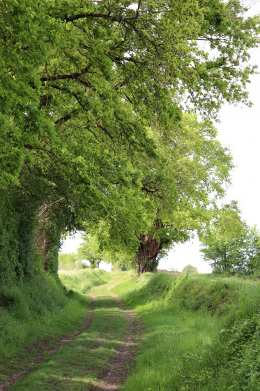 Chemin du Petit Orme
