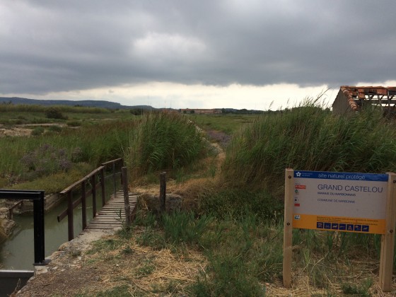 Chemin du retour (variante)