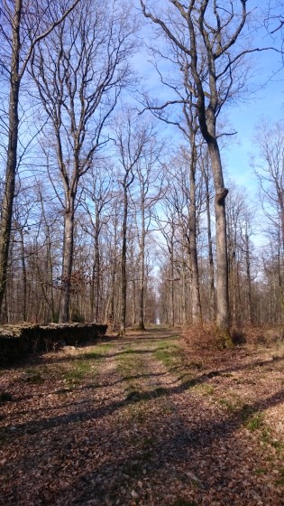Chemin du retour