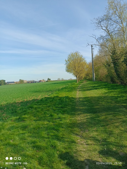 Chemin du retour