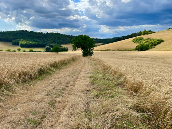 chemin du retour