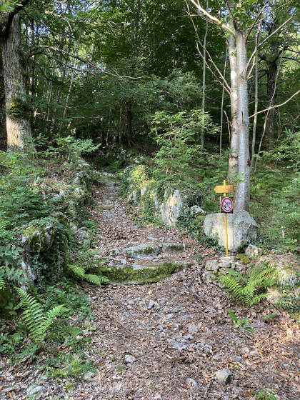 Chemin du Rieu