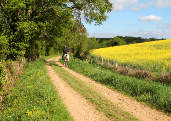 Chemin du ruisseau de la Corde