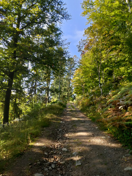 Chemin du Sillacker