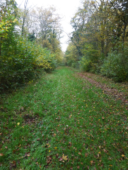 Chemin du Tour du Grand Nancy