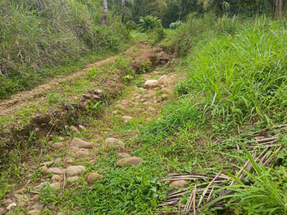 chemin du trianon entre les deux gués