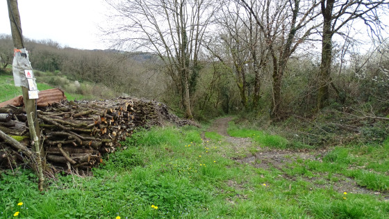 Chemin du Vieux Cimetière