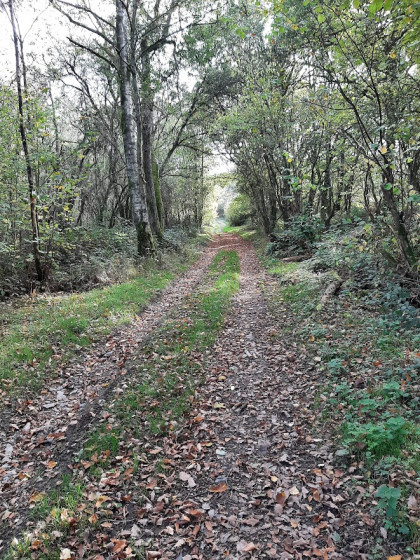 Chemin empierré vers la Roche Trouée