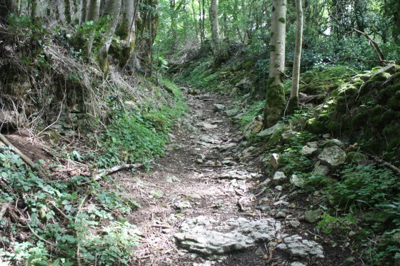 Chemin empierré