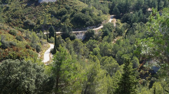 Chemin empruntés tout au long du parcours