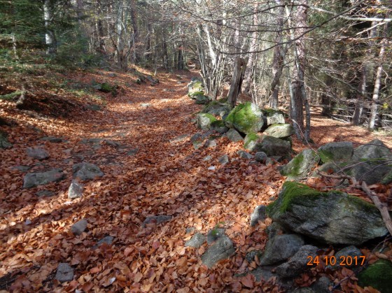 Chemin en automne