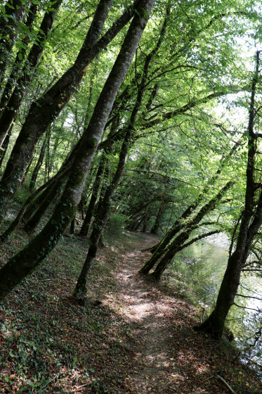 Chemin en bord de Creuse