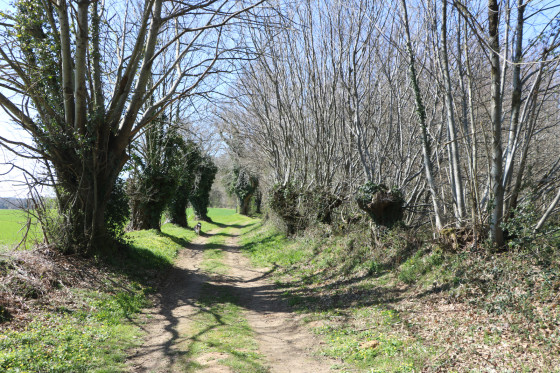 Chemin en direction du Bois de la Roche