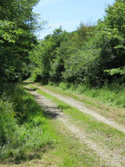 chemin en prenant à droite le balisage