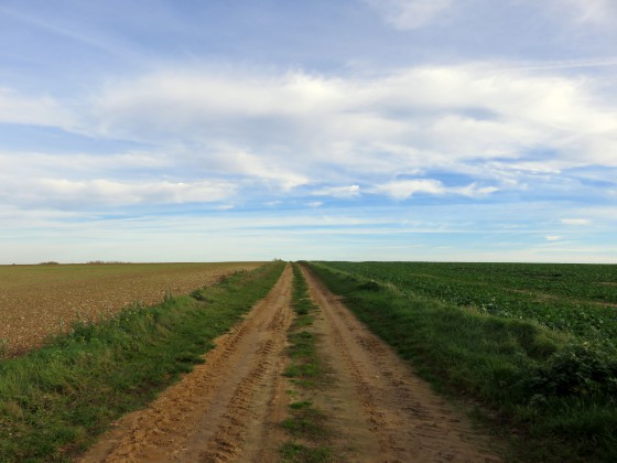 Chemin en rase campagne