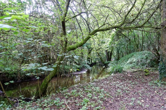 Chemin en rive du ruisseau de St Eturien