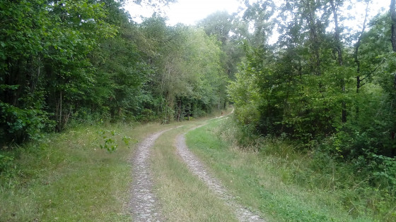 Chemin
