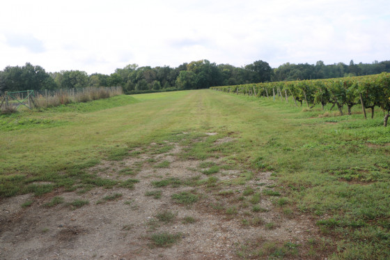 Chemin enherbé après Château Hauterive
