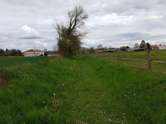 Chemin enherbé ramenant à Jouhé