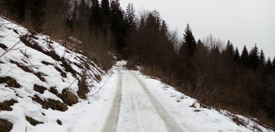 Chemin enneigé