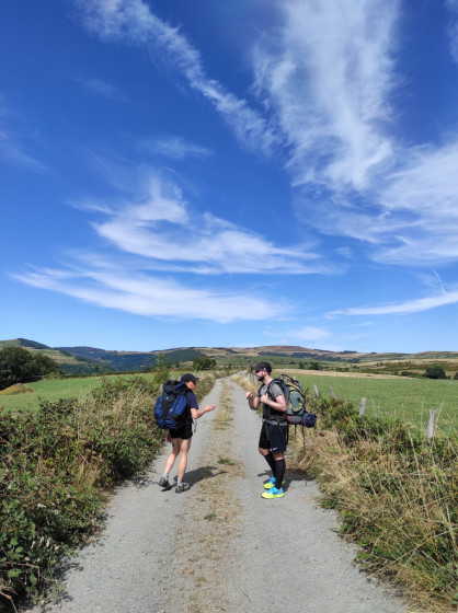 Chemin entouré de prés