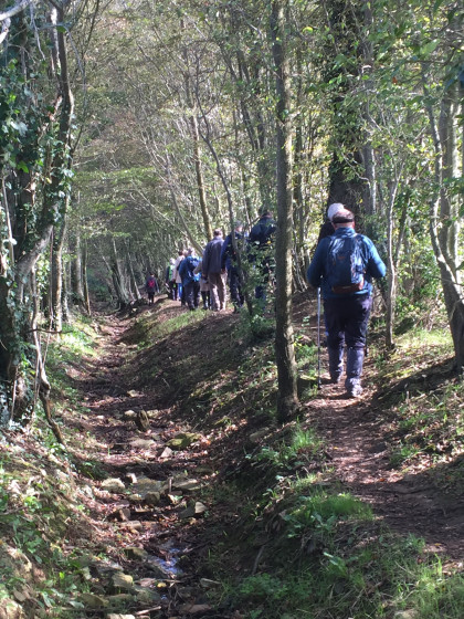 Chemin entouré de talus