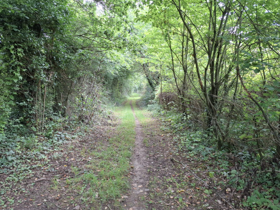 chemin entre carri&egrave;res de sable
