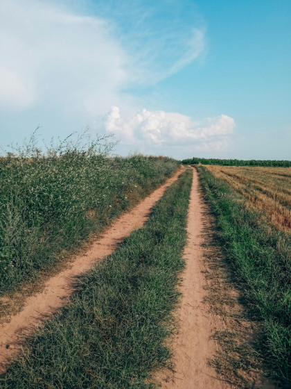Chemin entre Fontenois et Autruche