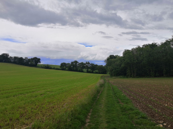 Chemin entre les points 2 et 3