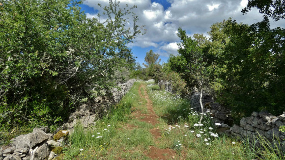 chemin entre murets de pierres sèches