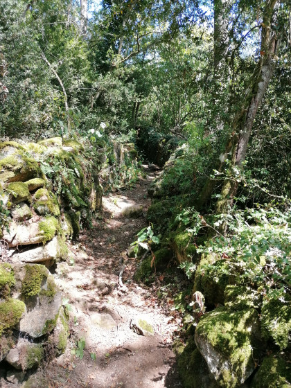 Chemin escarpé 2