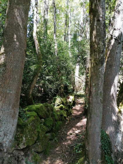 Chemin escarpé 3