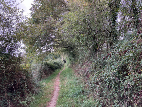 Chemin étroit