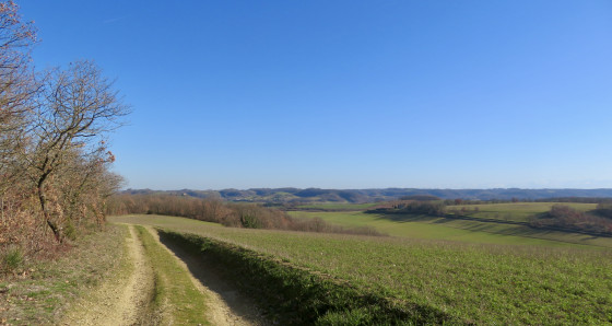 Chemin face aux Pyrénées