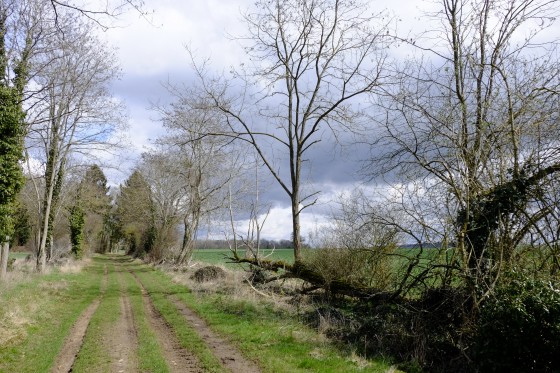 Chemin faisant