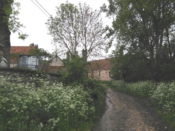 Chemin fleuri entre Moulineaux et Pontaly.