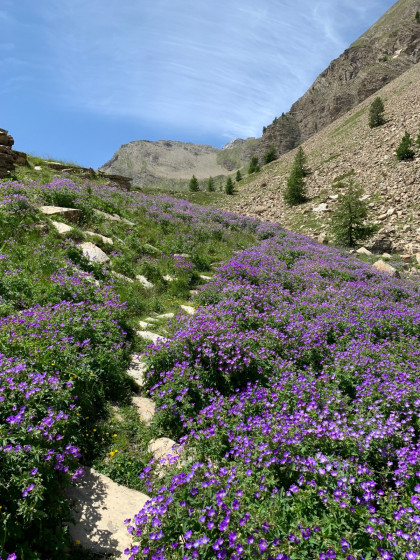 chemin fleuri, franchissement du ressaut dans le vallon