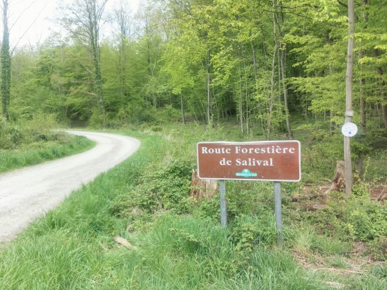 Chemin forestier de Salival