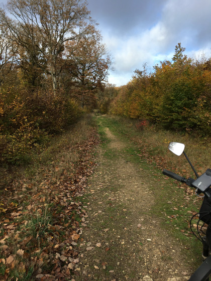 Chemin forestier