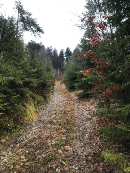 Lac du Brenet via le Mont d\'Orzeires et le Crêt des Alouettes Lac du Brenet via le Mont d\'Orzeires et le Crêt des Alouettes