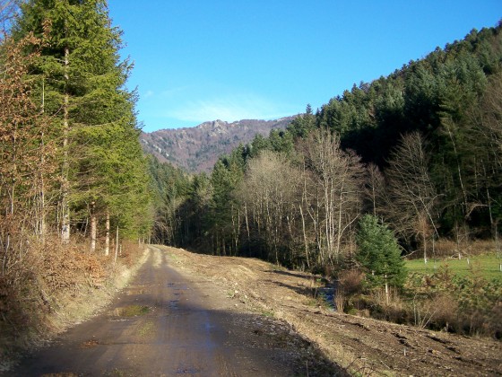 Fuchsfelsen und Belacker